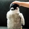 The Petting Zoo Emperor Penguin Chick Stuffed Animal Plushie, Gifts for Kids, Earth Keeperz Sealife Animals, Zoologee Grey Emperor Penguin Chick Plush Toy, 12 inches
