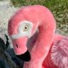 The Petting Zoo Flamingo Stuffed Animal Plushie, Gifts for Kids, Earth Keeperz Wildlife Animals, Zoologee Pink Flamingo Plush Toy, 10 inches