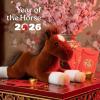 The Petting Zoo Floppy Chestnut Horse Stuffed Animal Plushie, Gifts for Kids, Wild Onez Barnyard Animals, Brown Horse Plush Toy, 16 inches