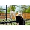 The Petting Zoo Hanging Capuchin Monkey Stuffed Animal Plushie, Gifts for Kids, Wildlife Animals, Monkey Plush Toy 20 Inches