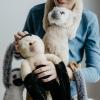 The Petting Zoo Hanging White-Handed Gibbon Monkey Stuffed Animal Plushie, Gifts for Kids, Wildlife Animals, Monkey Plush Toy 20 Inches