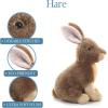 The Petting Zoo Hare Stuffed Animal Plushie, Gifts for Kids, Wild Onez Wildlife Animals, Rabbit Plush Toy 12 inches