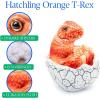 The Petting Zoo Hatchling T-Rex Dinosaur Stuffed Animal Plushie, Gift for Kids, Dinosaur Animals, Orange Dinosaur Plush Toy 8 inches