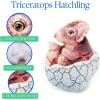The Petting Zoo Hatchling Triceratops Dinosaur Stuffed Animal Plushie, Gift for Kids, Dinosaur Animals, Brown Dinosaur Plush Toy 8 inches