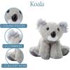The Petting Zoo Koala Stuffed Animal Plushie, Gifts for Kids, Wild Onez Wildlife Animals, Koala Plush Toy, 9 inches
