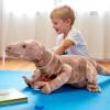 The Petting Zoo Komodo Dragon Stuffed Animal Plushie, Gifts for Kids, Wild Onez Reptile Animals, Dragon Plush Toy 34 Inches