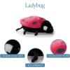 The Petting Zoo Ladybug Stuffed Animal Plushie, Gifts for Kids, Wild Onez Insect Animals, Red Ladybug Plush Toy, 12 inches