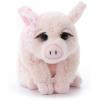 The Petting Zoo, Lash’z Pig Stuffed Animal, Gifts for Girls, Pig Plush Toy 12 inches