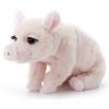 The Petting Zoo, Lash’z Pig Stuffed Animal, Gifts for Girls, Pig Plush Toy 12 inches