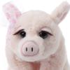 The Petting Zoo, Lash’z Pig Stuffed Animal, Gifts for Girls, Pig Plush Toy 12 inches