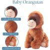 The Petting Zoo Orangutan Stuffed Animal Plushie, Gifts for Kids, Wild Onez Babiez Wildlife Animals, Orangutan Plush Toy 6 inches