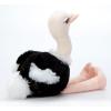 The Petting Zoo Ostrich Stuffed Animal, Gifts for Kids, Wild Onez Zoo Animals, Ostrich Plush Toy 12 inches