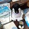 The Petting Zoo Penguin Chick Stuffed Animal Plushie, Gifts for Kids, Wild Onez Sealife Animals, Penguin Plush Toy 12 Inches