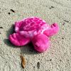 The Petting Zoo Pink Sea Turtle Stuffed Animal Plushie, Gifts for Kids, Scoopz Sealife Animals, Purple Tortoise Plush Toy 8 Inches