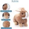 The Petting Zoo Rabbit Stuffed Animal Plushie, Gifts for Kids, Wild Onez Wildlife Animals, Brown Bunny Plush Toy 12 inches
