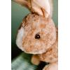 The Petting Zoo Rabbit Stuffed Animal Plushie, Gifts for Kids, Wild Onez Wildlife Animals, Brown Bunny Plush Toy 12 inches