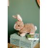 The Petting Zoo Rabbit Stuffed Animal Plushie, Gifts for Kids, Wild Onez Wildlife Animals, Brown Bunny Plush Toy 12 inches