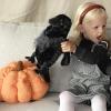 The Petting Zoo Raven Stuffed Animal Plushie, Gifts for Kids, Wild Onez Wildlife Animals, Black Raven Plush Toy 12 Inches