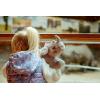The Petting Zoo Rhino Stuffed Animal Plushie, Gifts for Kids, Earth Keeperz Wildlife Animals, Zoologee Grey Rhino Plush Toy, 12 inches