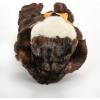 The Petting Zoo Sea Otter Stuffed Animal Plushie, Gifts for Kids, Wild Onez Ocean Animals, Otter Plush Toy 12 Inches
