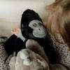 The Petting Zoo Silverback Gorilla Stuffed Animal Plushie, Gifts for Kids, Earth Keeperz Wildlife Animals, Zoologee Black Silverback Gorilla Plush Toy, 10 inches