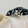 The Petting Zoo Spotted Eagle Stingray Stuffed Animal Plushie, Gifts for Kids, Earth Keeperz Sealife Animals, Zoologee Spotted Eagle Stingray Plush Toy, 15 inches