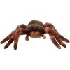 The Petting Zoo Tarantula Stuffed Animal, Gifts for Kids, Wild Onez Zoo Animals, Tarantula Plush Toy Sitting 12 inches