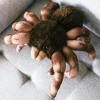 The Petting Zoo Tarantula Stuffed Animal, Gifts for Kids, Wild Onez Zoo Animals, Tarantula Plush Toy Sitting 12 inches