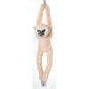 The Petting Zoo Hanging White-Handed Gibbon Monkey Stuffed Animal Plushie, Gifts for Kids, Wildlife Animals, Monkey Plush Toy 20 Inches