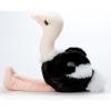 The Petting Zoo Ostrich Stuffed Animal, Gifts for Kids, Wild Onez Zoo Animals, Ostrich Plush Toy 12 inches