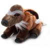 The Petting Zoo Red River Hog Stuffed Animal Plushie, Gifts for Kids, Wild Onez Wildlife Animals, Hog Plush Toy, 12 inches