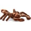 The Petting Zoo Scorpion Stuffed Animal, Gifts for Kids, Wild Onez Zoo Animals, Scorpion Plush Toy 12 inches