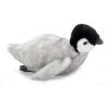The Petting Zoo Swimming Penguin Chick Stuffed Animal Plushie, Gifts for Kids, Earth Keeperz Sealife Animals, Zoologee Grey Penguin Chick Plush Toy, 11 inches