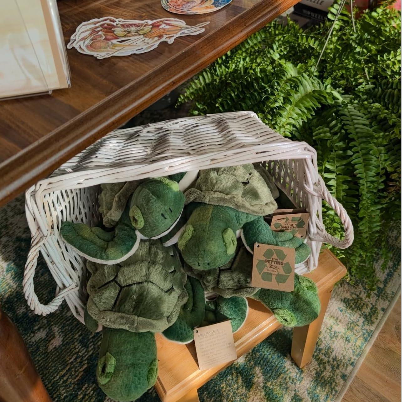 image:imageThe Petting Zoo Conservation Sea Turtle Stuffed Animal Gifts for Kids Baby Sea Turtle Plush Toy 10 inches