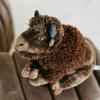 The Petting Zoo Bison Stuffed Animal Plushie, Gifts for Kids, Earth Keeperz Wildlife Animals, Zoologee Brown Bison Plush Toy, 14 inches