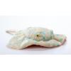 The Petting Zoo Blue Spotted Ray Stuffed Animal Plushie, Gifts for Kids, Wild Onez Ocean Animals, Stingray Plush Toy 22 inches from Tip of Tail to Head