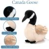 The Petting Zoo Canada Goose Stuffed Animal Plushie, Gifts for Kids, Wild Onez Animals, Goose Plush Toy, 12 inches