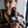 The Petting Zoo Chicken Rooster Stuffed Animal Plushie, Gifts for Kids, Wild Onez Wildlife Animals, Chicken Plush Toy 9 inches
