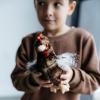 The Petting Zoo Chicken Rooster Stuffed Animal Plushie, Gifts for Kids, Wild Onez Wildlife Animals, Chicken Plush Toy 9 inches