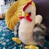 The Petting Zoo Chicken Stuffed Animal Plushie, Gifts for Kids, Wild Onez Barnyard Animals, White Chicken Plush Toy, 9 inches