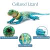 The Petting Zoo Collared Lizard Stuffed Animal Plushie, Gifts for Kids, Wild Onez Reptile Animals, Lizard Plush Toy 25 Inches