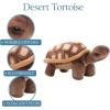 The Petting Zoo Desert Tortoise Stuffed Animal Plushie, Gifts for Kids, Wild Onez Wildlife Animals, Desert Tortoise Plush Toy 9 Inches(9 in)
