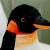 The Petting Zoo Emperor Penguin Stuffed Animal Plushie, Gifts for Kids, Wild Onez Sealife Animals, Jumbo Penguin Plush Toy 20 Inches