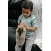 The Petting Zoo Javelina Stuffed Animal Plushie, Gifts for Kids, Wild Onez Wildlife Animals, Javelina Plush Toy 12 inches