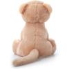The Petting Zoo Lioness Stuffed Animal, Gifts for Kids, Wild Onez Zoo Animals, Lioness Plush Toy 12 inches