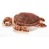 The Petting Zoo Loggerhead Sea Turtle Stuffed Animal Plushie, Gifts for Kids, Wild Onez Ocean Animals, Sea Turtle Plush Toy 16 Inches