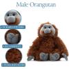 The Petting Zoo Male Orangutan Stuffed Animal Plushie, Gifts for Kids, Wild Onez Zoo Animals, Orangutan Plush Toy, 12 inches