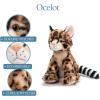 The Petting Zoo Ocelot Stuffed Animal, Gifts for Kids, Wild Onez Zoo Animals, Ocelot Plush Toy 12 inches