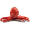 The Petting Zoo Pacific Red Octopus Stuffed Animal Plushie, Gifts for Kids, Wild Onez Sealife Animals, Octopus Plush Toy 14 inches