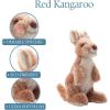 The Petting Zoo Red Kangaroo Plushie Stuffed Animal, Gifts for Kids, Wild Onez Wildlife Animals, Kangaroo Plush Toy 9 inches